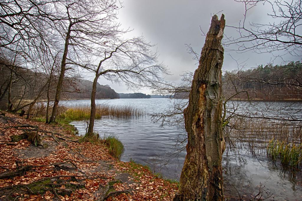 Hotel Am Liepnitzsee فاندليتس المظهر الخارجي الصورة