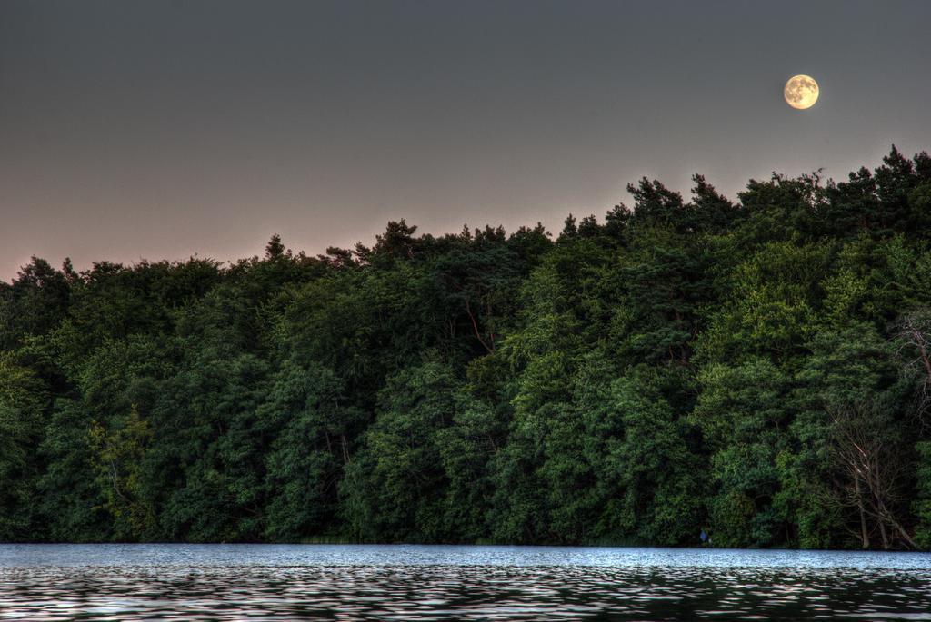 Hotel Am Liepnitzsee فاندليتس المظهر الخارجي الصورة
