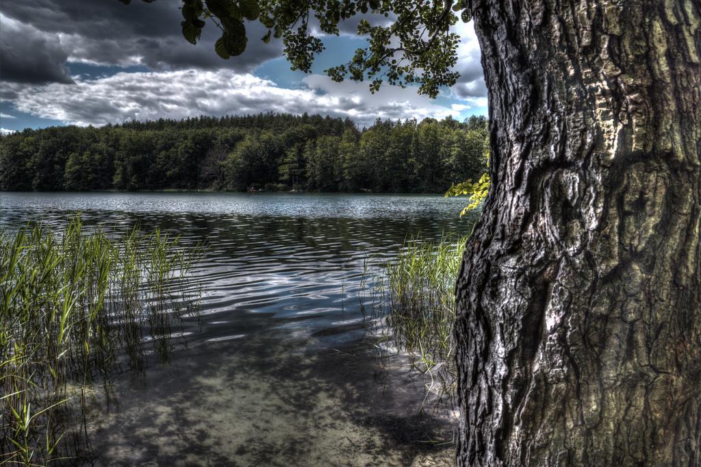 Hotel Am Liepnitzsee فاندليتس المظهر الخارجي الصورة